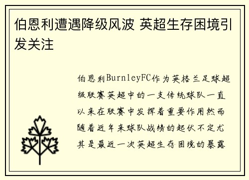 伯恩利遭遇降级风波 英超生存困境引发关注 伯恩利遭遇降级风波 英超生存困境引发关注